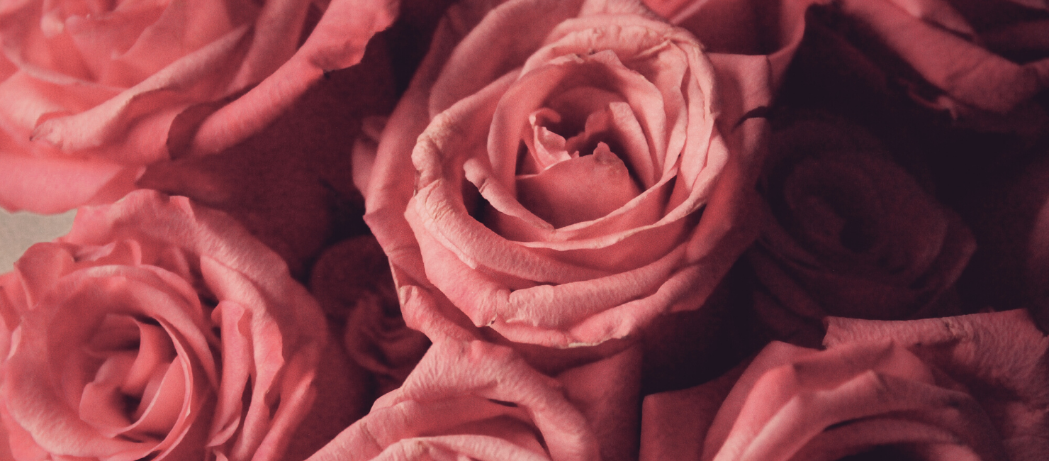 HOW TO USE THE ROSE TOY